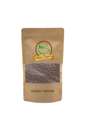 Kanola Tohumu