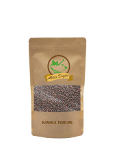 Kanola Tohumu