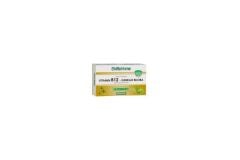 Shf Vitamin B12-ginkgo Biloba 28 *150 Mg