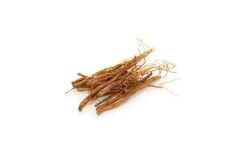 Ginseng Kök Kırmızı