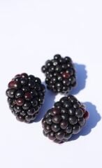 Böğürtlen Meyvesi 500 GR