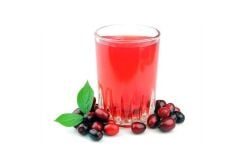 Fresh Kızılcık Aromalı Kons. Şurup 1kg