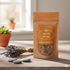 Meryem Ana Eli Otuet