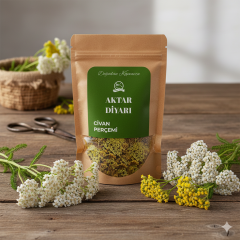 Civan Perçemi Ayvadana Kelle