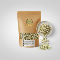 Yasemin Çiçeği Beyaz Tomurcuk