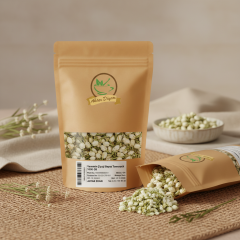 Yasemin Çiçeği Beyaz Tomurcuk