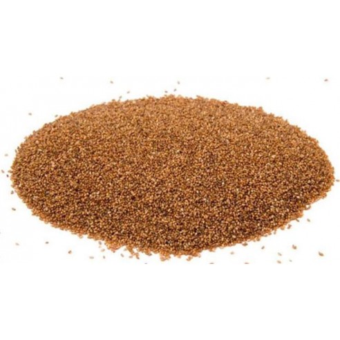 Teff Tohumu
