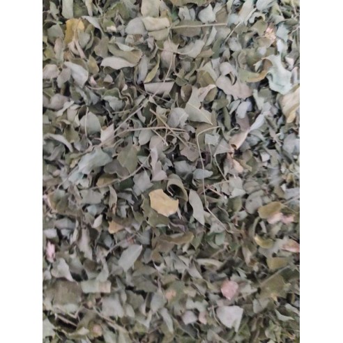 Moringa Yaprak