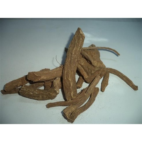 Udi Hindi-kusti Bahri- Hint Buhuru