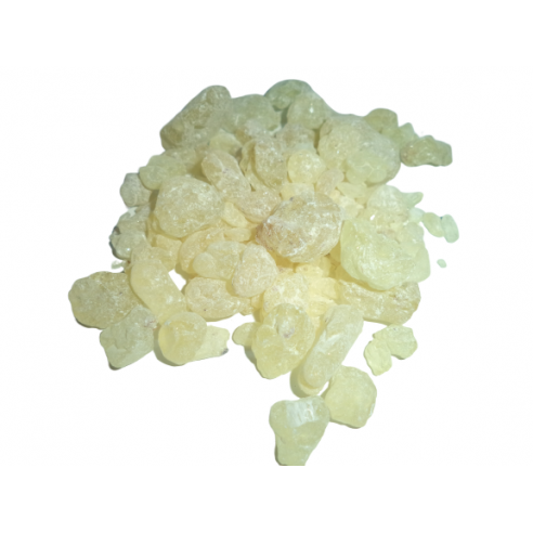 Sandroz Sakızı Sandarağacı