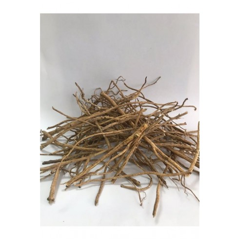 Çin Geveni-astragalus Çin Geveni-astragalus