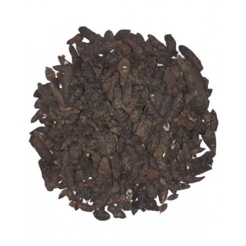 Topalak-kust-buhuru Meryem