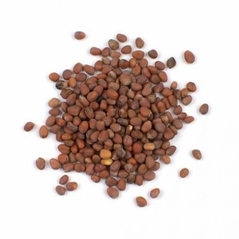 Turp Tohumu Kırmızı