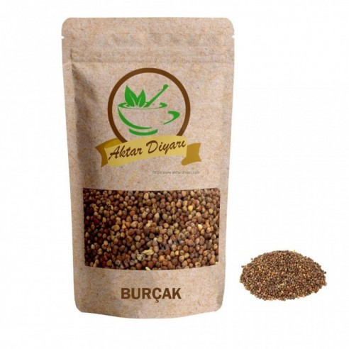 Burçak Tohumu