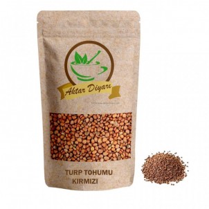 Turp Tohumu Kırmızı