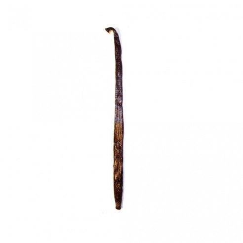 çubuk Vanilya çubuğu 14-16 Cm A Kalite 1 Adet çubuk Vanilya çubuğu 14-16 Cm A Kalite 1 Adet