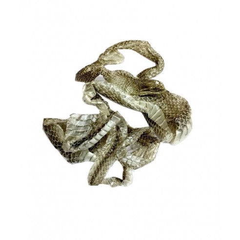Yılan Derisi Yılan Gömleği Yılan Kavı 15 cm - 20 cm Aktar Diyarı
