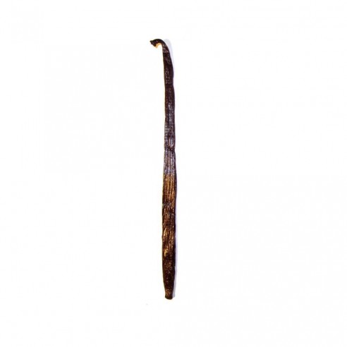 Çubuk Vanilya Çubuğu 14-16 cm A Kalite 1 Adet