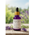 Lavanta Yağı 20 ML Lavanta Yağı 20 ML